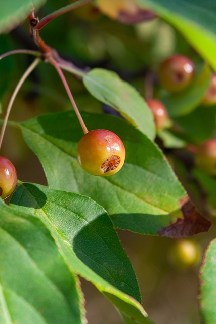 一场盛宴 一场盛宴