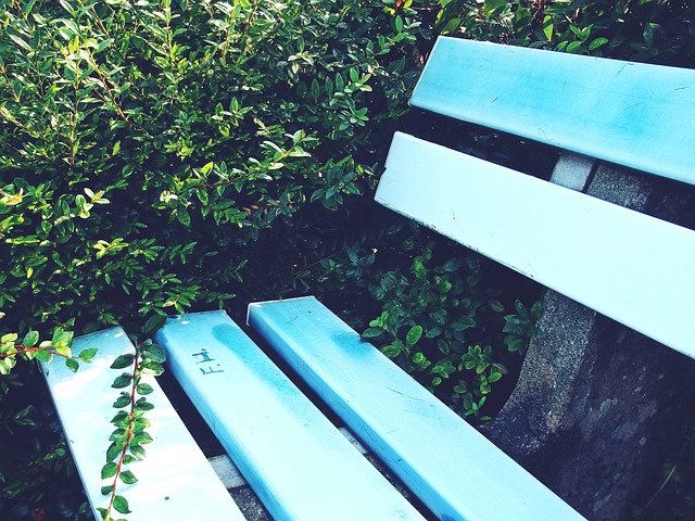 最大功臣 最大功臣