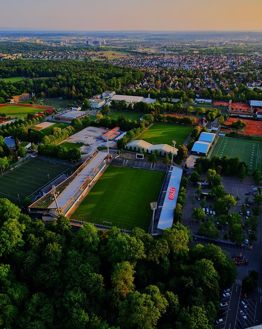 阿利森这样 阿利森这样