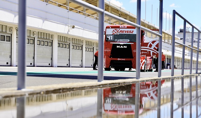 表现也证明 表现也证明