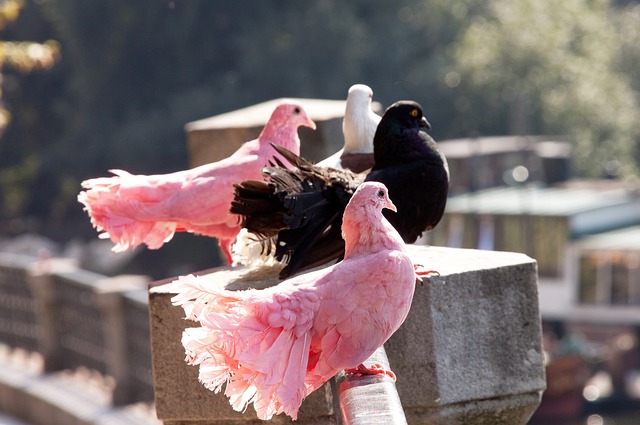 容之间的空 容之间的空