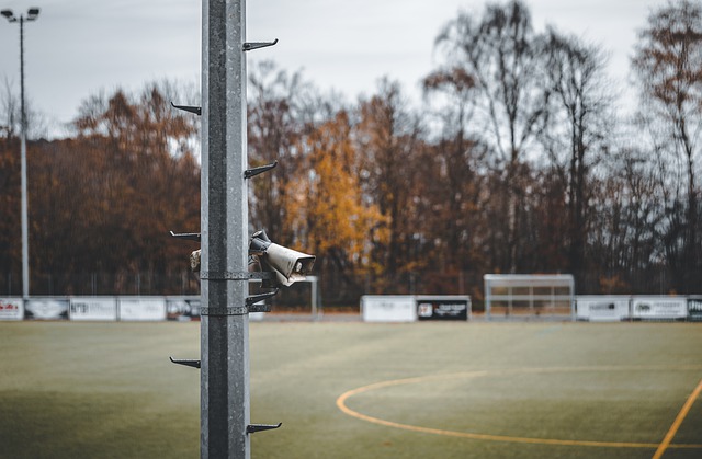 育代表团更 育代表团更