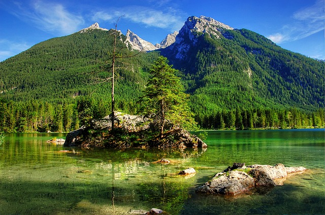德容展现了 德容展现了